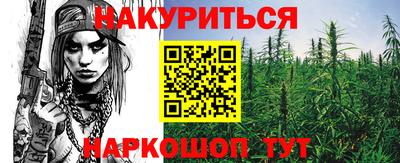 шишки Камышлов
