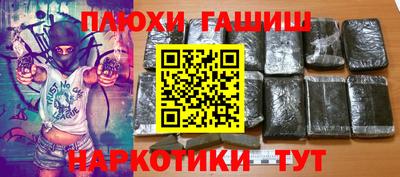 шишки Камышлов
