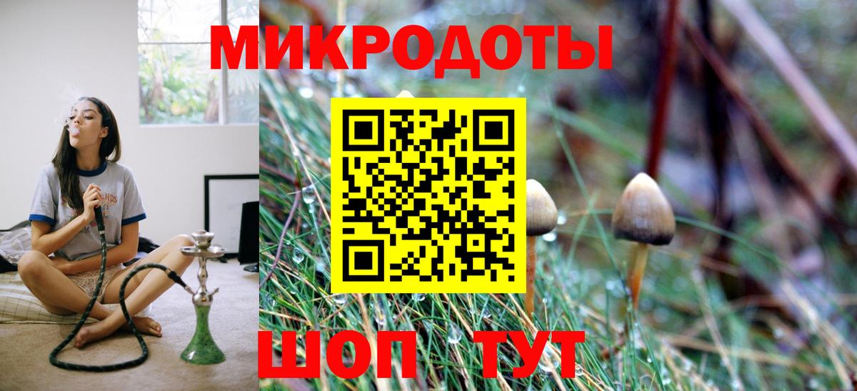 Галлюциногенные грибы GOLDEN TEACHER Кохма