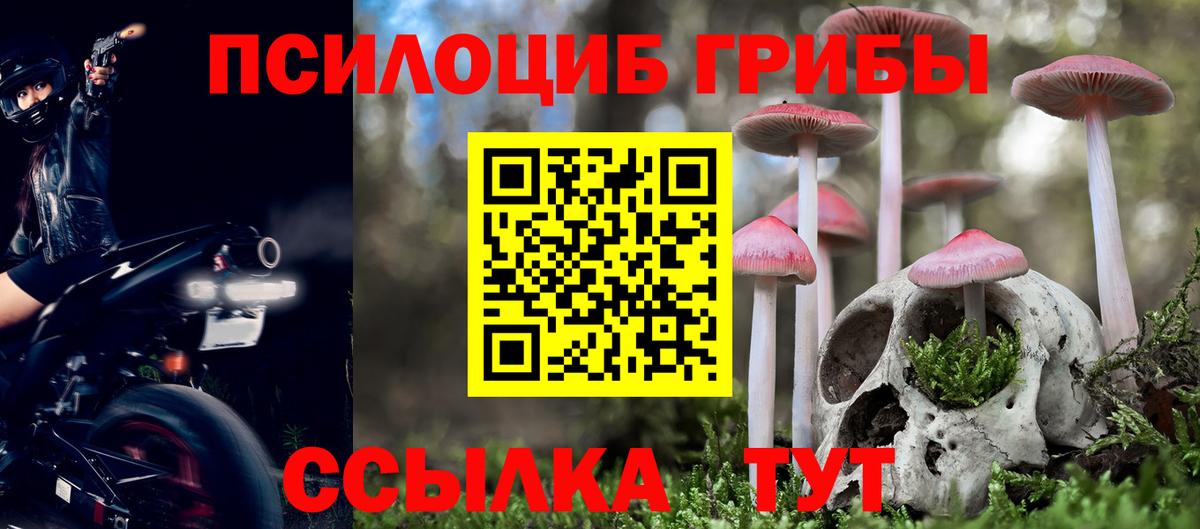 Кохма  Галлюциногенные грибы ЛСД  Вход с VPN 